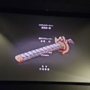 [내돈내산] CGV &#34; 극장판 귀멸의칼날 : 무한열차편 &#34; 재개봉 관람후기, 특전