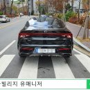 새들브라운 이미지
