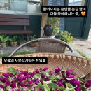 동락원 - 안성시 죽주로 231 | 동락원