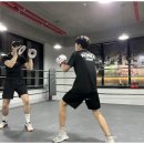 동탄센트럴복싱짐 이미지