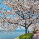 하단동1162 이미지