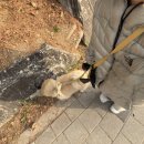 복자여자중고등학교(0651) | 3