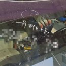 금강자동차유리 이미지