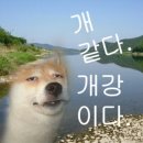 50억년만에 제출하는 개강로그