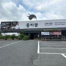 중·양식가정요리 | 대구 용지봉 : 상견례 한정식 코스요리 행복상 , 한식대첩 우승 수성구 룸식당 내돈내산 후기