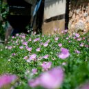 가실마을 이미지