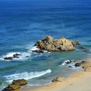 푸른바다 이미지