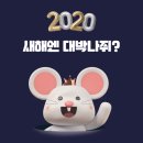 김도한여행사