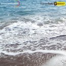 그해 바다 이미지