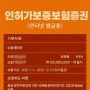 국제행정사 이미지