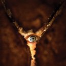 (주)애니힐 이미지