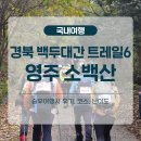 백두여행사 | 2025 경북 백두대간 트레일6 챌린지 : 영주 소백산 연화봉 등산코스 (승우여행사 후기)