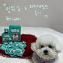 토리멍 | 반려견 간식 추천 🐶펫라벨 신제품 멍쮸쮸 캣쮸쮸 강아지 고양이 츄르 솔직 후기