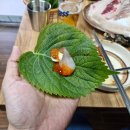갯바위회수산