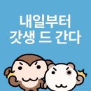 Hi 몽 | 🦦🦦🦦