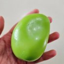 아트박스전주점 | 전주 말랑이 슬랑이 어디서 사요? 전주 신사가지 아트박스 방문 후기