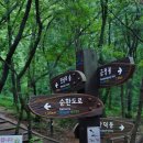 천일탕 이미지