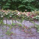 양구백자박물관 이미지