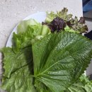 어촌 | 서오릉맛집 포장전문 어촌활어회 솔직후기 가성비굳