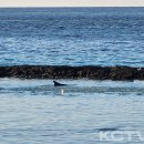 양식단지 앞 이미지