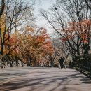 돈이요족발 | 저장) 워킹화 고르는 법, 쿠셔닝과 아치 지지 추진력으로 발 건강 지키는 방법