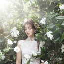 더페레스튜디오 이미지