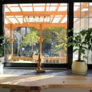 철새보러가는길 이미지