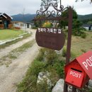 옛길 플라워 이미지