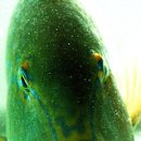 박선규치과의원 이미지