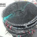 장어통발수산 이미지