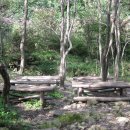 상관편백숲 쉼터 이미지