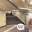 콩닥 동물병원 이미지