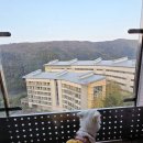 하이원클럽 | 정선 애견동반 숙소 하이원리조트 힐콘도 후기 1편｜강아지랑 머물기 너무 편했어요!