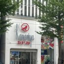 카용품점 | 일본 뜨개용품점 카나리야 후기 살만한 것 추천 삿포로 카나리야 면세 안됨