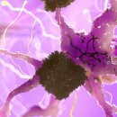 서울한방병원 이미지