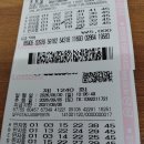 1240회. 일요반자동(빈도자료) 이미지