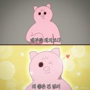 식당 토성동 이미지