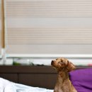 남창원동물병원 이미지