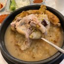 군산누룽지삼계탕 | 📍 초복 몸보신 추천! 군산 조촌동 누룽지삼계탕 맛집 유씨네본가 솔직 후기