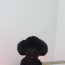 편한미용 이미지