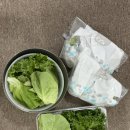 둥지농장 그린핏 유러피안 샐러드 상추 1kg 후기, 다이어트 식단채소로 완전 추천