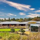 제주포도 이미지