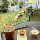 왕짱애견유치원 이미지