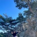 창우분식