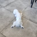 오미네커피 이미지