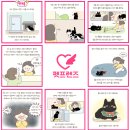 펫프렌즈 이미지