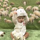 풍산목장 네이버블로그