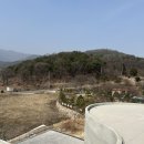 등억꽃향