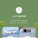 신유 여행사
