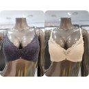 택소프트 이미지